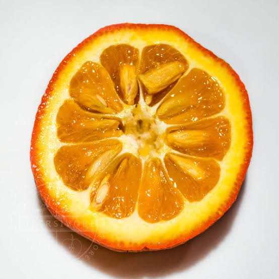 Bittere Orange